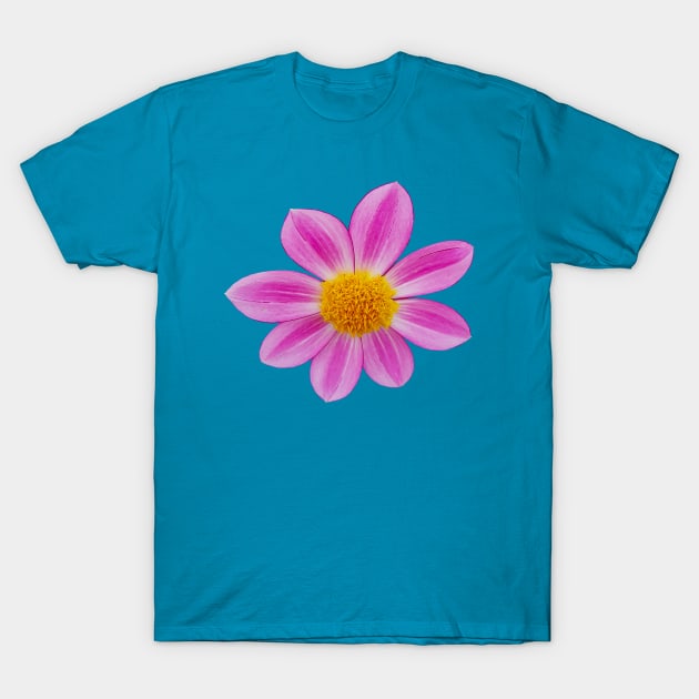 Pink Single Dahlia Flower T-Shirt by ellenhenryart